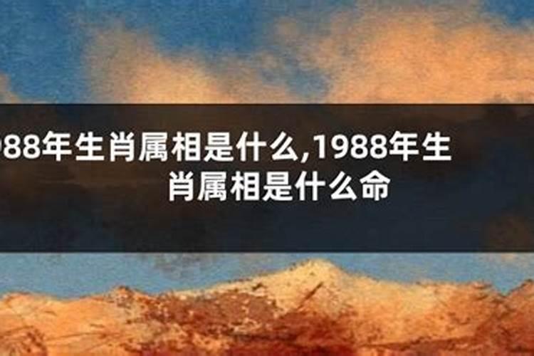 眉毛什么人最旺财
