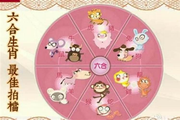 属相婚配有多准,属相婚配准吗？可信么？