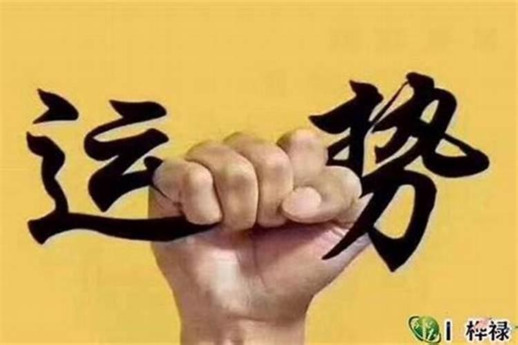 处女座女生和什么星座最配