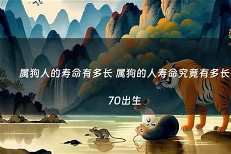 1946年狗2023年安康 2023年运势剖析？