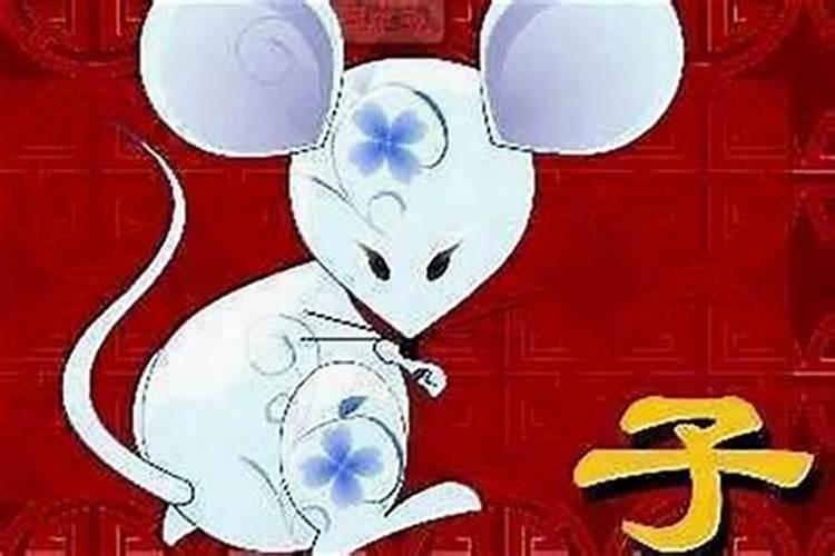 96年属鼠今年的运势2023,2023年96年鼠女整体运势
