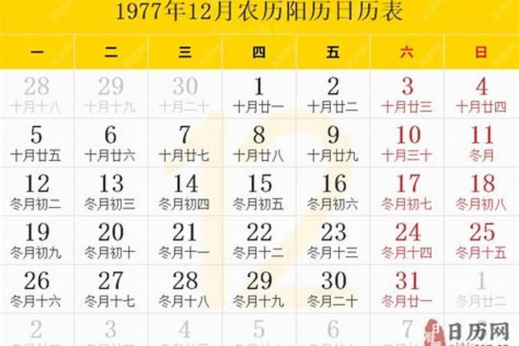 我于1977年12月17日下午四点出生,男,今年是本命年,请问大师今年该注意...