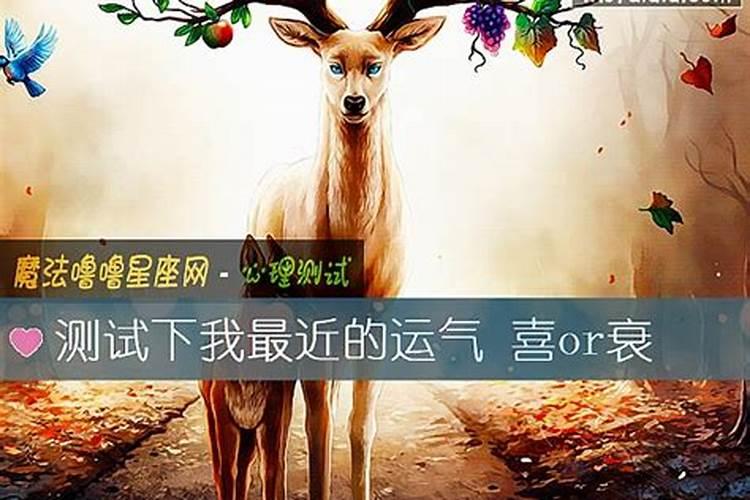 怎麼样测试自己最近运气的好坏？