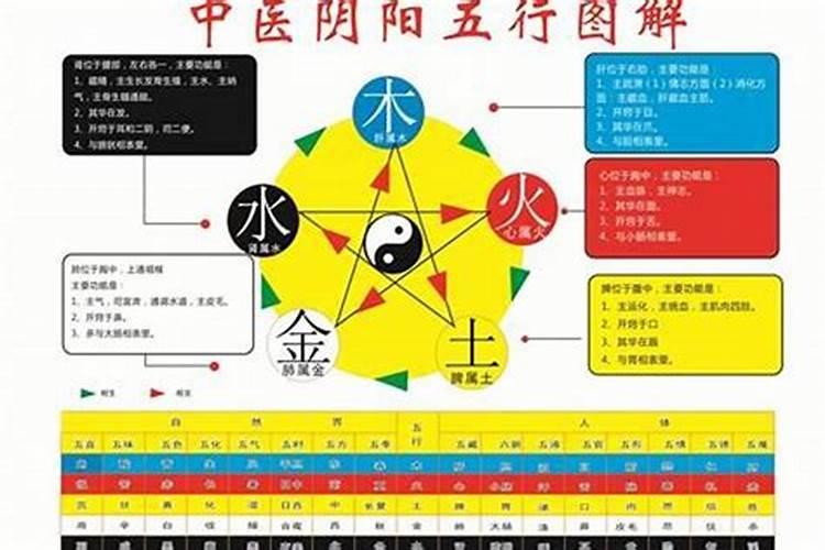 怎么看八字属阴还是属阳