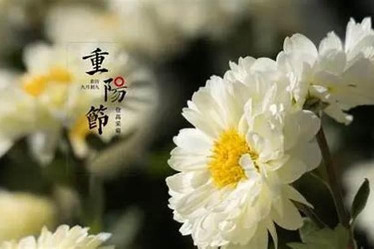 重阳节是什么星座？