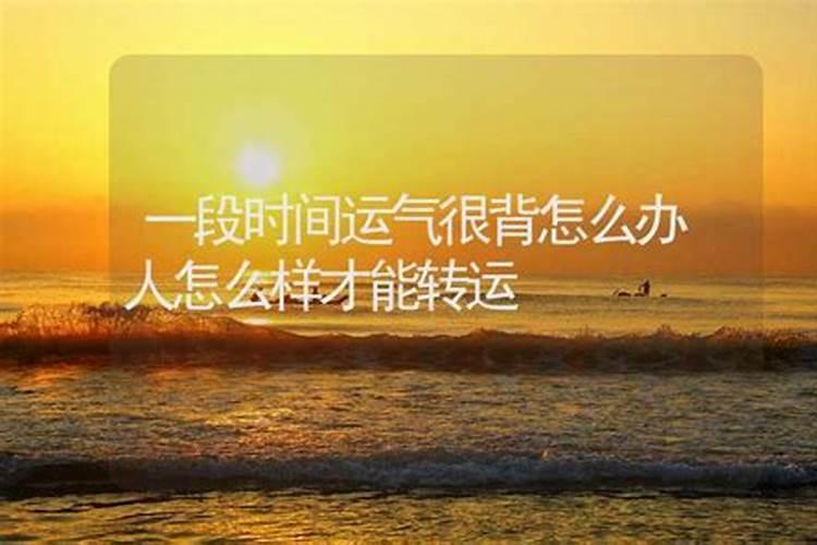 2025年生肖猪的全年运势如何
