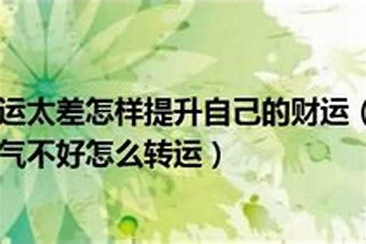 生肖猪1995年2025年运势如何 生肖猪1995年2025年全年运势