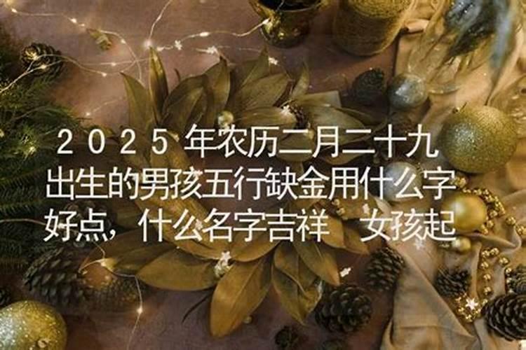1982年属狗农历2月29日亥时出生的人命理缺什么