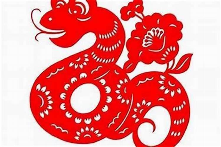 十二生肖一周运红黑日