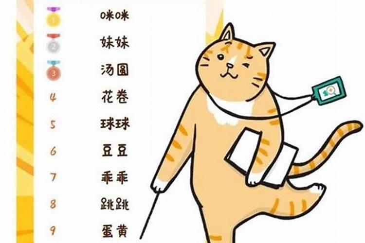 100个财运的名字猫