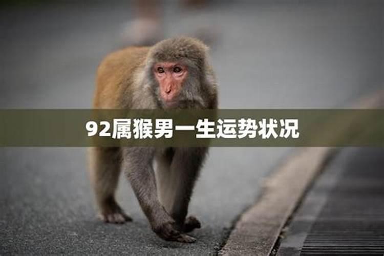 1992年阴历9月20 子时 男人一生运势如何