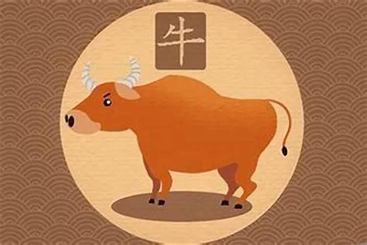 浙江人元宵节吃什么