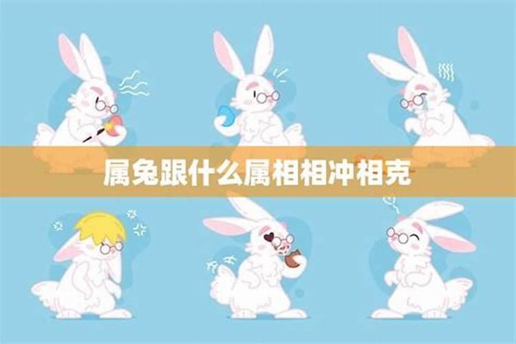 兔和哪个属相犯冲