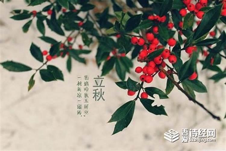 立秋的民间风俗 立秋的传统习俗