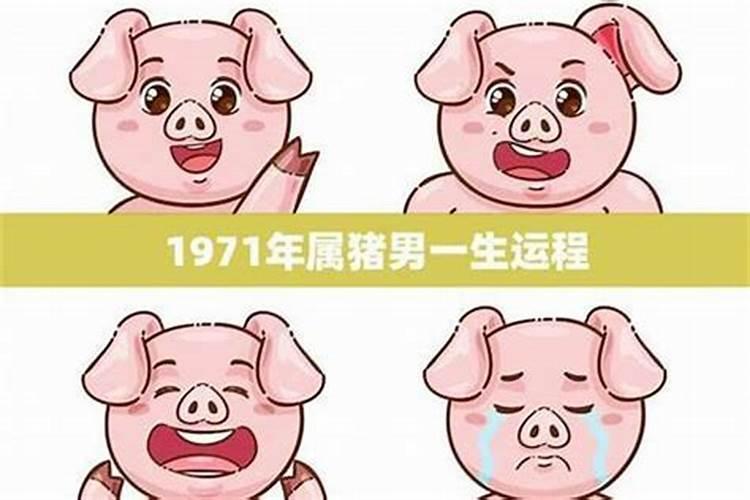 71年属猪后半生婚姻