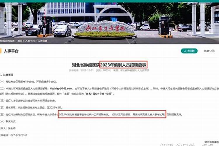 属虎2025年运势及运