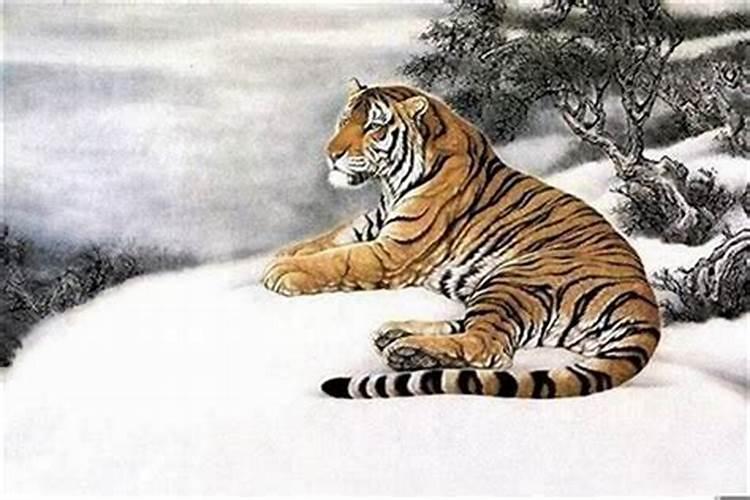 艾草放在家里什么地方最好