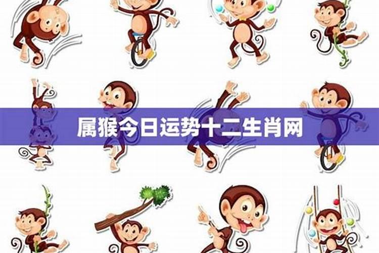 生肖每日运程水墨先生,水墨先生每天生肖运势
