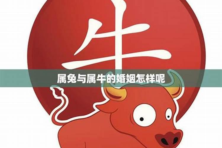三大人节,三大鬼节,三大神节分别是什么时候？