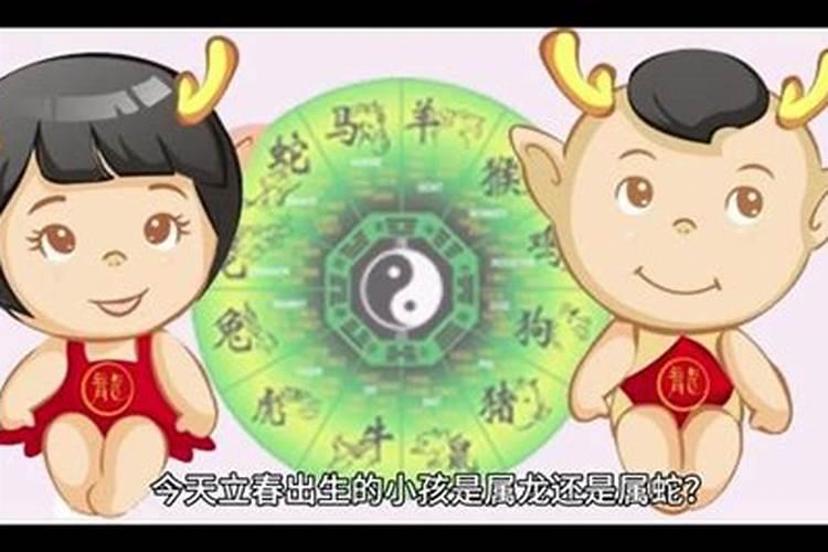 坟地栽树怎么栽栽几棵