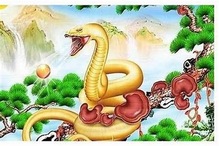 属兔1987年有孤寡命,87年兔命犯孤寡缘由有哪些？