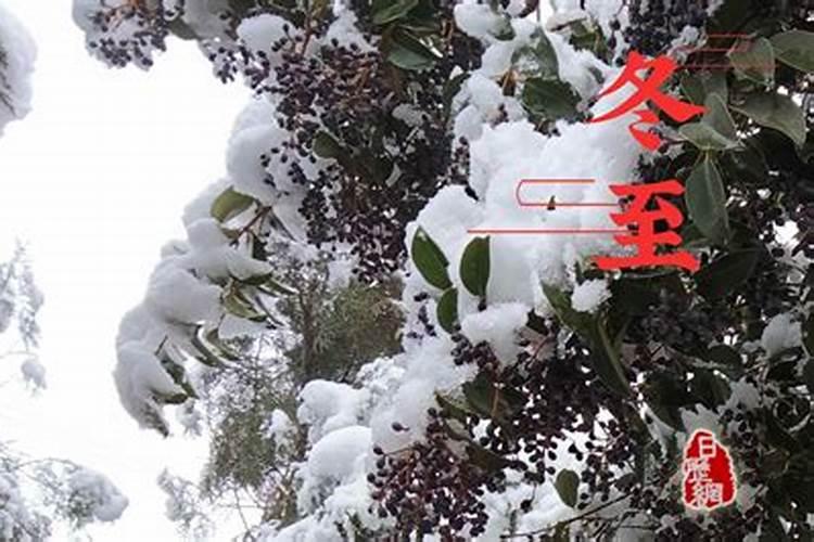 立冬和冬至什么区别
