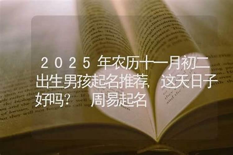 农历冬月初二九点半出生的是什么命运