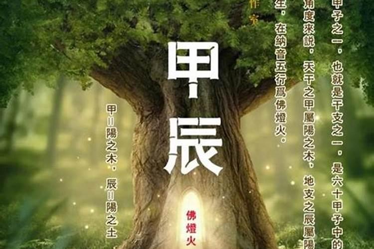 乙丑年壬午月乙巳日戊寅时乾造今年运程如何？