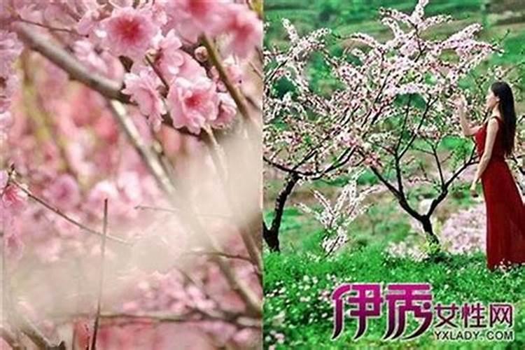桃花劫男女能在一起吗