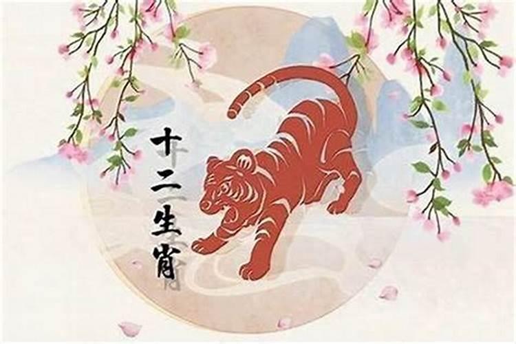 属猴的人