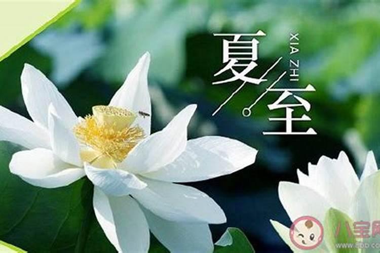 女,一九八一年三月初八辰时出生,请各位大师算算运程