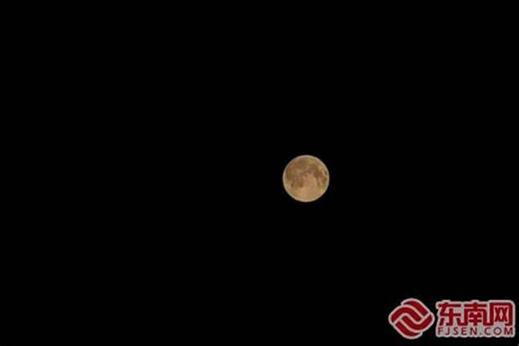 属狗的今年犯太岁怎么化解