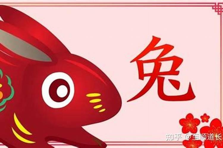 属兔人2025年综合运势