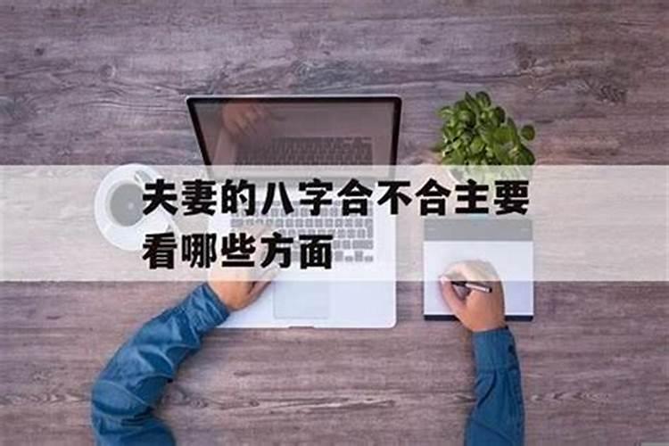 两个人合不合是看属相还是看八字 八字合婚的注意事项？