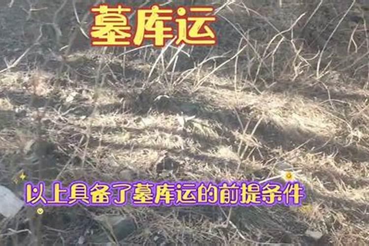 如何正确理解八字中的墓与库