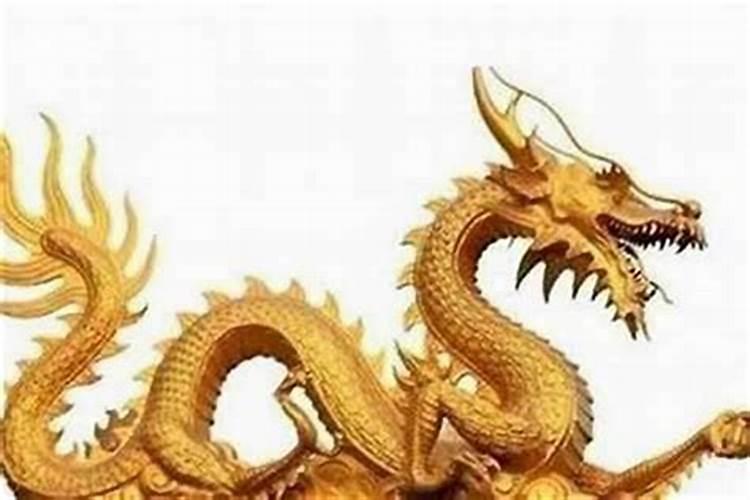龙与虎相配的婚姻如何,龙和虎能婚配吗？