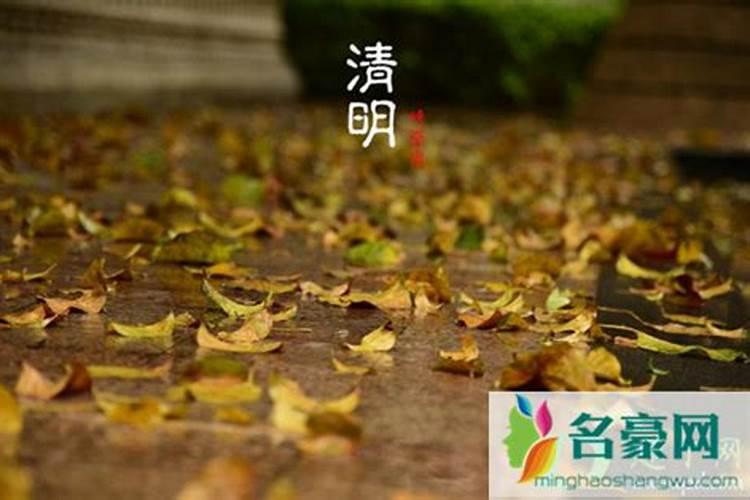 清明节有属相不能上坟吗