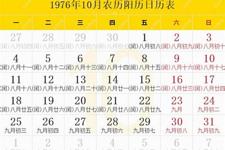 76年属龙2024年运势及运程每月运程