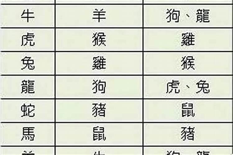2025年属蛇的运势和财运