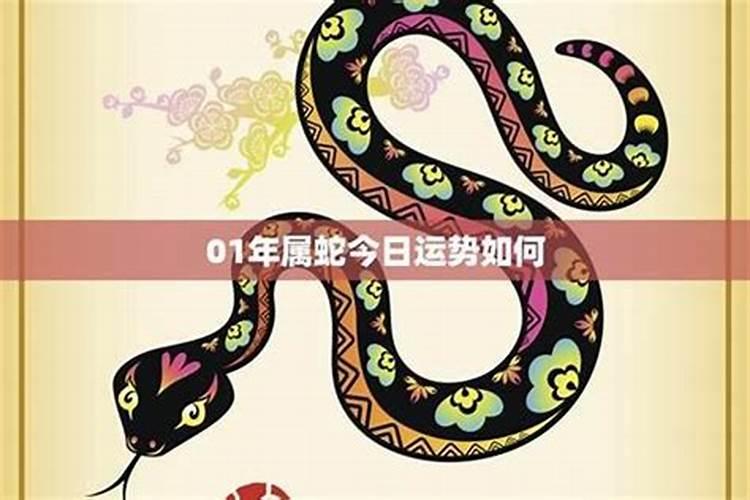 生肖蛇2025年运势及运程如何
