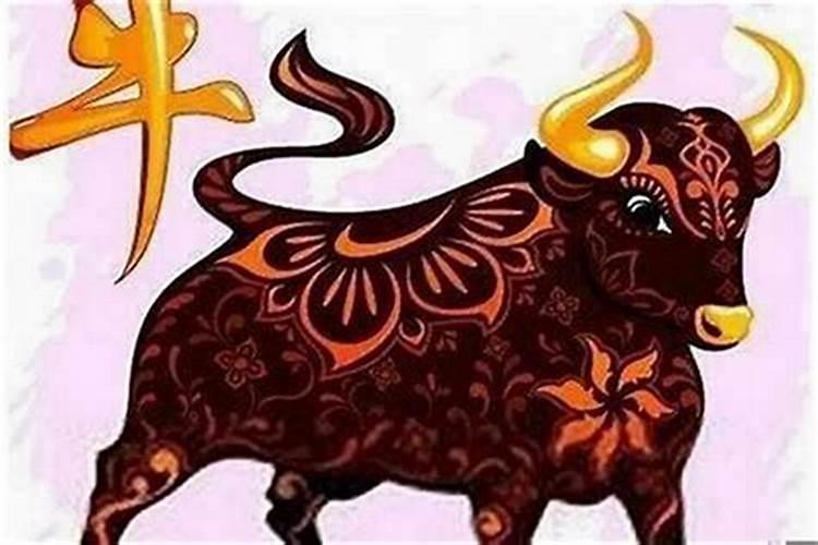 求解:82年的狗明年的运势如何