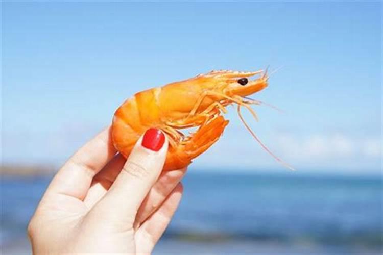 极火虾在缸里脱壳是好事还是坏事