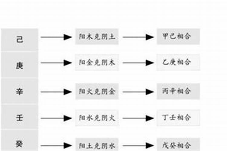 八字天干五合详解