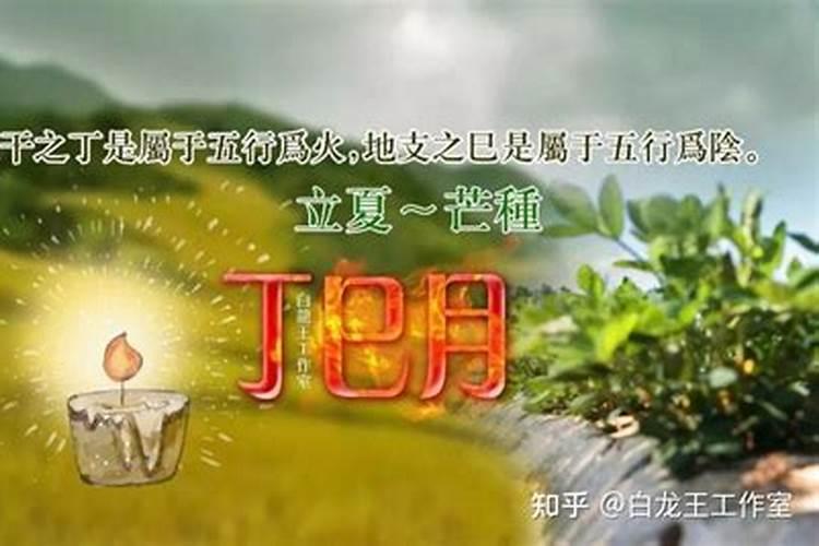 丙辰、戊戌、甲酉、庚午与丁巳、庚戌、戊午、乙卯八字合吗？百度...