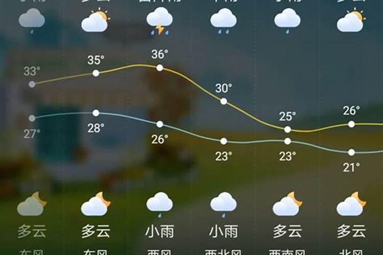 生肖龙2025年运势 属龙人2025年每月运势