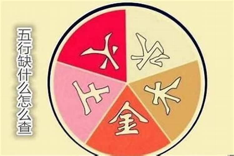 农历十一月出生的属蛇人运程