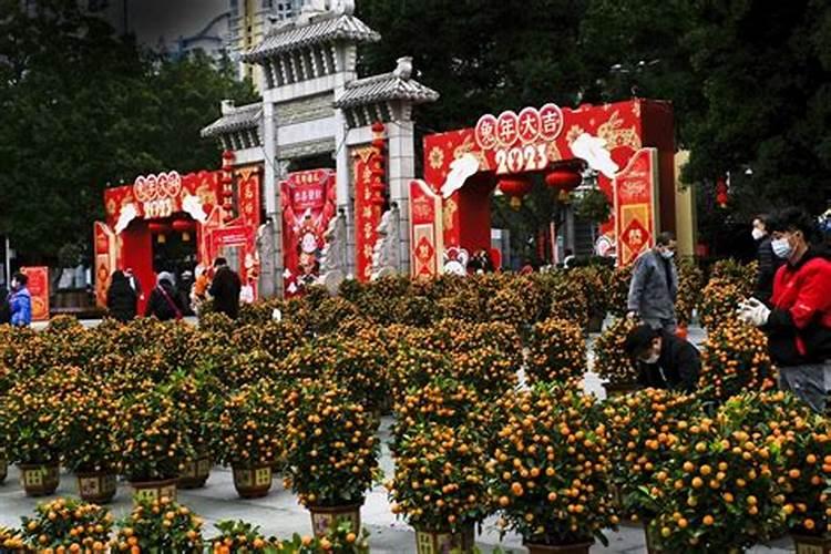 广州流花湖公园春节主题花展精彩看点