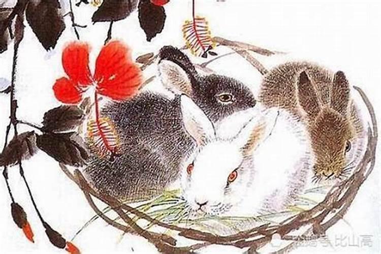 犯太岁会影响几年运势