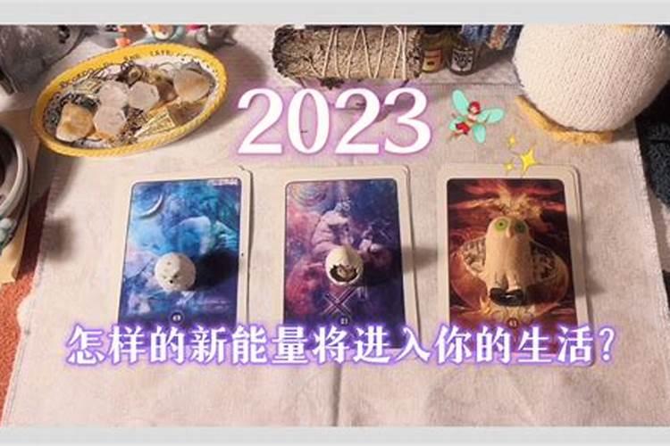 一九七二年属鼠男今年运气与婚姻
