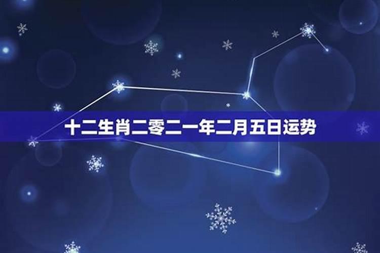 七二年属鼠女人在2024年的命运如何呢